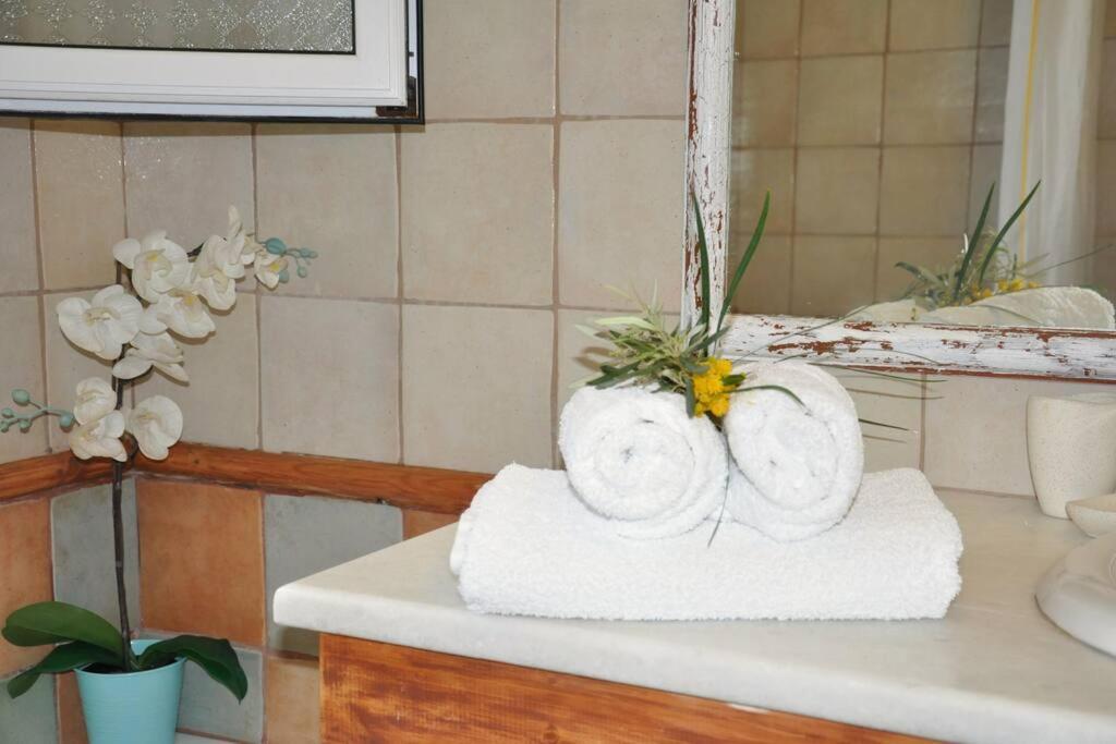 Villa Erietta Near Lefkas Center Apolpaina Bagian luar foto