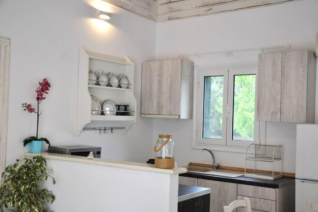 Villa Erietta Near Lefkas Center Apolpaina Bagian luar foto