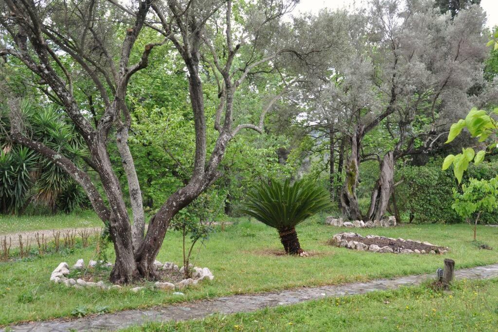 Villa Erietta Near Lefkas Center Apolpaina Bagian luar foto